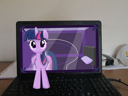 Size: 4608x3456 | Tagged: safe, artist:missbeigepony, artist:parclytaxel, twilight sparkle, alicorn, pony, g4, bed, book, breaking the fourth wall, cap, computer, female, hat, irl, laptop computer, looking at you, mare, phone, photo, ponies in real life, smiling, solo, twilight sparkle (alicorn), vector