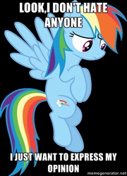 Size: 500x694 | Tagged: safe, rainbow dash, g4, female, image macro, meme, op has a point, opinion, solo