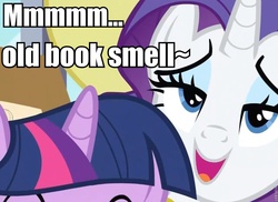 Size: 911x662 | Tagged: safe, rarity, twilight sparkle, g4, book, image macro, meme