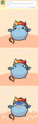 Size: 600x1948 | Tagged: safe, artist:pekou, rainbow dash, pegasus, pony, ask my little chubbies, g4, chubbie, cute, dashabetes, female, mare, solo