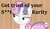 Size: 596x345 | Tagged: safe, edit, edited screencap, screencap, rarity, sweetie belle, pony, unicorn, for whom the sweetie belle toils, g4, my little pony: friendship is magic, censored, censored vulgarity, female, grammar error, hub logo, solo