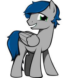 Size: 843x948 | Tagged: safe, artist:ladynoob, oc, oc only, oc:rain, pegasus, pony, male, rule 63, simple background, solo, stallion, transparent background, vector