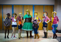 Size: 2048x1414 | Tagged: safe, applejack, human, g4, cosplay, irl, irl human, photo