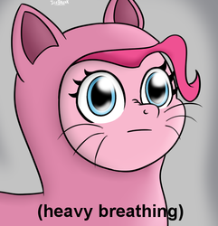 Size: 555x575 | Tagged: dead source, safe, artist:icebreak23, pinkie pie, earth pony, pony, g4, animal costume, bust, cat costume, clothes, costume, descriptive noise, female, heavy breathing, meme, nose wrinkle, parody, pinkie cat, ponified meme, reaction image, solo, whiskers, wide eyes