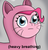 Size: 555x575 | Tagged: dead source, safe, artist:icebreak23, pinkie pie, earth pony, pony, g4, animal costume, bust, cat costume, clothes, costume, descriptive noise, female, heavy breathing, meme, nose wrinkle, parody, pinkie cat, ponified meme, reaction image, solo, whiskers, wide eyes