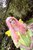 Size: 1366x2048 | Tagged: safe, artist:dunyasha8, fluttershy, human, g4, cosplay, irl, irl human, photo, solo