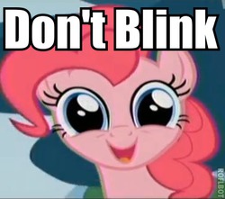 Size: 367x325 | Tagged: safe, pinkie pie, g4, pinkie apple pie, doctor who, don't blink, female, image macro, meme, solo
