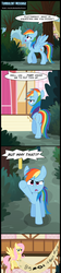 Size: 800x3588 | Tagged: safe, artist:toxic-mario, edit, big macintosh, fluttershy, rainbow dash, earth pony, pony, g4, best pony, comic, male, ship:fluttermac, shipping, stallion, straight