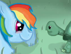 Size: 900x675 | Tagged: safe, artist:ehherinn, rainbow dash, tank, g4