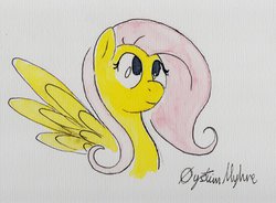 Size: 1024x753 | Tagged: safe, artist:otto720, fluttershy, g4, female, solo, traditional art, watercolor painting