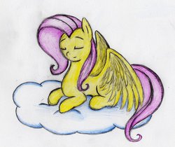 Size: 976x818 | Tagged: safe, artist:otto720, fluttershy, g4, female, solo