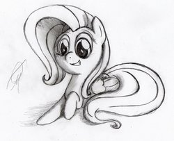 Size: 900x730 | Tagged: safe, artist:otto720, fluttershy, g4, female, monochrome, smiling, solo