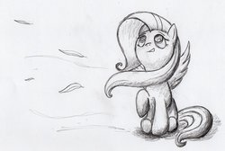 Size: 900x606 | Tagged: safe, artist:otto720, fluttershy, g4, female, monochrome, solo