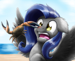 Size: 2864x2317 | Tagged: safe, artist:otakuap, oc, oc only, oc:bernd, crab, pegasus, pony, beach, high res, nose pinch, open mouth, pinch, solo, spread wings, wings