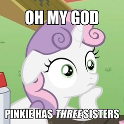 Size: 500x500 | Tagged: safe, edit, edited screencap, screencap, maud pie, sweetie belle, g4, maud pie (episode), ponyville confidential, cropped, female, floppy ears, hoof on chin, image macro, meme, solo, sudden clarity sweetie belle