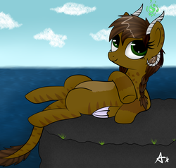 Size: 5894x5600 | Tagged: safe, artist:axioma_dice, oc, oc only, pony, absurd resolution, ocean, on back, solo