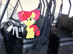 Size: 2592x1944 | Tagged: safe, artist:huskkies, artist:tokkazutara1164, apple bloom, g4, cute, golf cart, irl, looking up, photo, ponies in real life, seat, solo, vector