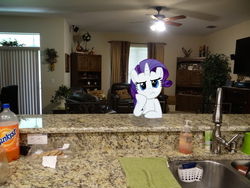 Size: 4896x3672 | Tagged: safe, artist:emedina13, rarity, g4, bored, ceiling fan, chair, cookie, curtains, dishes, irl, lights, photo, pillow, plants, ponies in real life, room, sink, soap, soda, solo, television, towel, vector