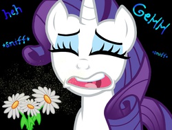 Size: 2048x1536 | Tagged: safe, artist:proponypal, rarity, g4, allergies, female, fetish, flower, nostril flare, nostrils, pollen, pre sneeze, sneezing, sneezing fetish, solo