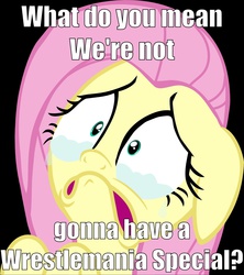 Size: 1215x1369 | Tagged: safe, fluttershy, g4, female, image macro, meme, sad, solo, wrestlemania, wwe