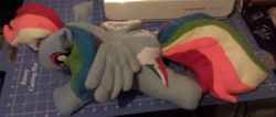 Size: 2320x988 | Tagged: safe, artist:stormynight79, rainbow dash, g4, irl, photo, plushie