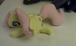 Size: 2592x1552 | Tagged: safe, artist:stormynight79, fluttershy, g4, irl, photo, plushie