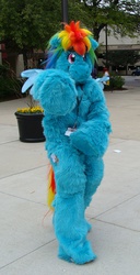 Size: 797x1554 | Tagged: safe, artist:stormynight79, rainbow dash, human, g4, cosplay, fursuit, irl, irl human, photo, solo