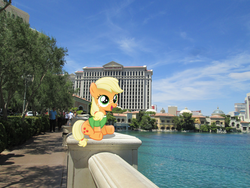 Size: 3200x2400 | Tagged: safe, artist:austinious, artist:missbeigepony, applejack, human, g4, caesar's palace, car, clothes, female, filly, high res, hotel, irl, las vegas, photo, pond, ponies in real life, shadow, shirt, sidewalk, sitting, solo, vector, water