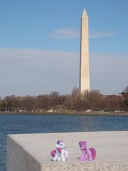 Size: 2592x3456 | Tagged: safe, artist:wordturner, rarity, twilight sparkle, g4, high res, irl, photo, ponies around the world, toy, washington d.c., washington monument