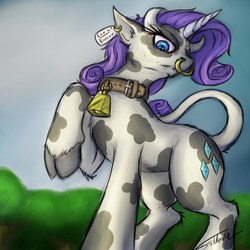 Size: 950x950 | Tagged: safe, artist:foldeath, rarity, cow, cow pony, pony, unicorn, g4, bell, bell collar, cloven hooves, collar, cowbell, digital art, ear tag, female, horn, horns, looking at you, looking down, looking down at you, low angle, mare, nose piercing, nose ring, piercing, raised hoof, raricow, septum piercing, solo, species swap