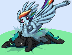 Size: 1000x773 | Tagged: safe, artist:foxenawolf, rainbow dash, oc, changeling, fanfic:growing up dandy, g4, eyes closed, fanfic art, fluffy, glare, gritted teeth, outdoors, prone, spread wings, tackle, unshorn fetlocks, violence