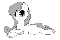 Size: 1175x789 | Tagged: safe, artist:krucification, oc, oc only, earth pony, pony, looking at you, monochrome, prone, solo
