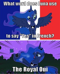 Size: 500x622 | Tagged: safe, princess luna, g4, bad pun, flag, france, french, meme, pun, royal we