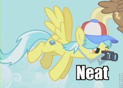 Size: 430x309 | Tagged: safe, edit, edited screencap, screencap, big shot, tracy flash, pegasus, pony, g4, green isn't your color, camera, cropped, female, flying, image macro, male, mare, meme, neat, solo focus, stallion