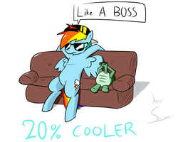 Size: 1280x1024 | Tagged: safe, artist:swomswom, rainbow dash, tank, g4, 20% cooler, couch, like a boss, sunglasses