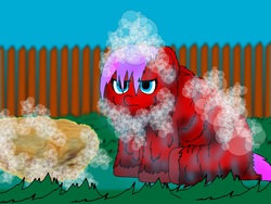 Size: 2000x1500 | Tagged: safe, artist:inkiepie, fluffy pony, bath, fluffy pony original art, solo