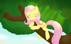 Size: 6000x3750 | Tagged: safe, artist:axioma_dice, fluttershy, g4, female, sleeping, solo, sun, tree