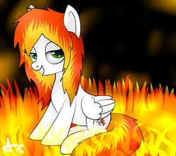 Size: 6000x5305 | Tagged: safe, artist:axioma_dice, oc, oc only, pony, absurd resolution, fire, solo