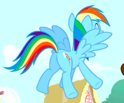 Size: 419x350 | Tagged: safe, screencap, cheese sandwich, rainbow dash, pony, g4, pinkie pride, butt, female, flying, mare, plot, solo focus