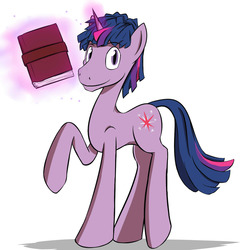 Size: 1280x1280 | Tagged: safe, artist:fuzebox, twilight sparkle, pony, g4, book, dusk shine, glowing horn, horn, magic, male, rule 63, solo, stallion, telekinesis