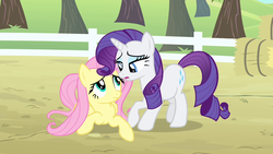 Size: 1280x720 | Tagged: safe, screencap, fluttershy, rarity, g4, fence