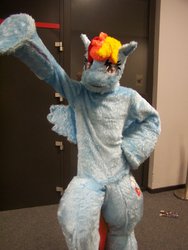 Size: 1024x1365 | Tagged: safe, artist:enfyulfur, rainbow dash, human, g4, cosplay, fursuit, irl, irl human, photo, solo