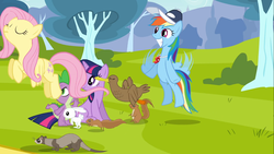 Size: 1366x768 | Tagged: safe, screencap, angel bunny, fluttershy, rainbow dash, spike, twilight sparkle, bird, duck, ferret, pegasus, pony, squirrel, unicorn, g4, hurricane fluttershy, animal, coach rainbow dash, female, hat, mare, rainbow dashs coaching whistle, smiling, spread wings, unicorn twilight, whistle, wings