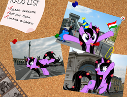 Size: 1560x1200 | Tagged: safe, artist:csillaghullo, oc, oc only, pony, unicorn, g4, badge, bridge, budapest, film reel, flag, flower, happy, hoof in air, hungary, montage, photo, photos, solo, square, to-do list, train station