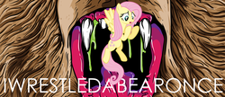 Size: 944x406 | Tagged: safe, fluttershy, g4, album cover, iwrestledabearonce