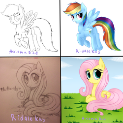 Size: 5000x5000 | Tagged: safe, fluttershy, rainbow dash, g4, absurd resolution, collaboration