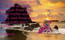 Size: 1680x1050 | Tagged: safe, artist:digitalpheonix, artist:lahirien, pinkie pie, g4, basket, beach, dr. seuss, irl, letter, photo, ponies in real life, quote, shadow, solo, sunset, vector