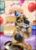 Size: 2534x3545 | Tagged: safe, artist:pridark, octavia melody, oc, oc:yoshi ringo, g4, balloon, cake, confetti, glasses, high res, plushie, present, underhoof