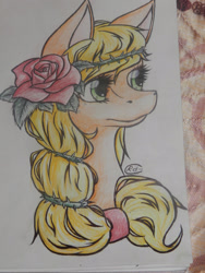 Size: 1200x1600 | Tagged: safe, artist:alcidence, applejack, earth pony, pony, g4, female, flower, flower in hair, portrait, solo, thorn, traditional art