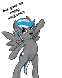 Size: 704x880 | Tagged: safe, artist:cwossie, oc, oc only, oc:northern cross, pegasus, pony, bipedal, solo, text, wingboner